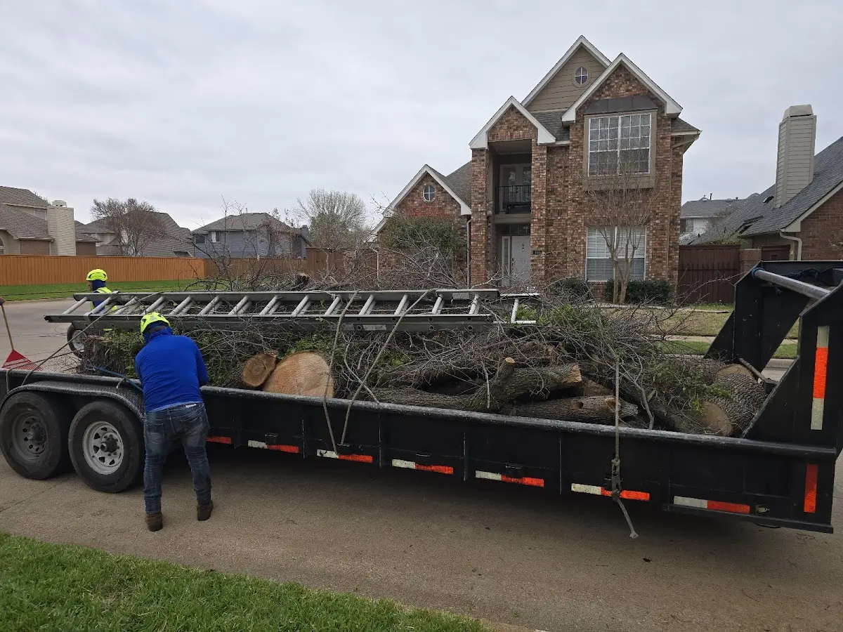 Expert Tree Fertilization with proper safety equipment in Hinkle